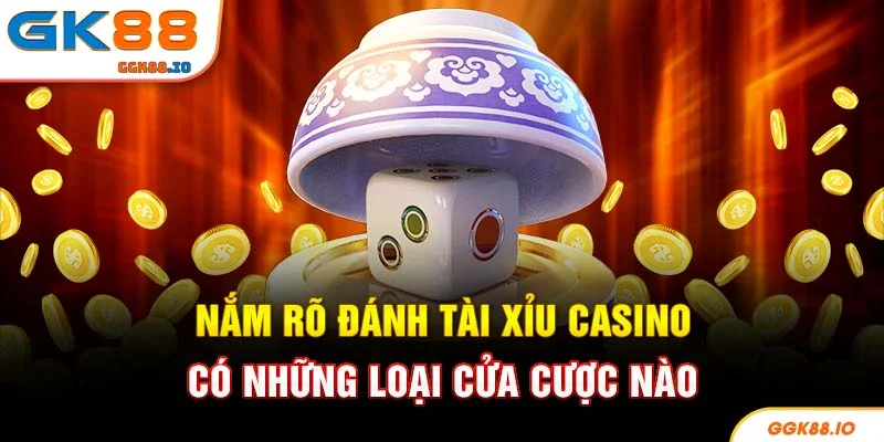 Nắm rõ đánh tài xỉu casino có những loại cửa cược nào